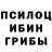 Галлюциногенные грибы Psilocybine cubensis Misheglod